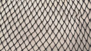 #30 x 2in x 150md Black HD Acrylic Coat Web (sold by the foot)