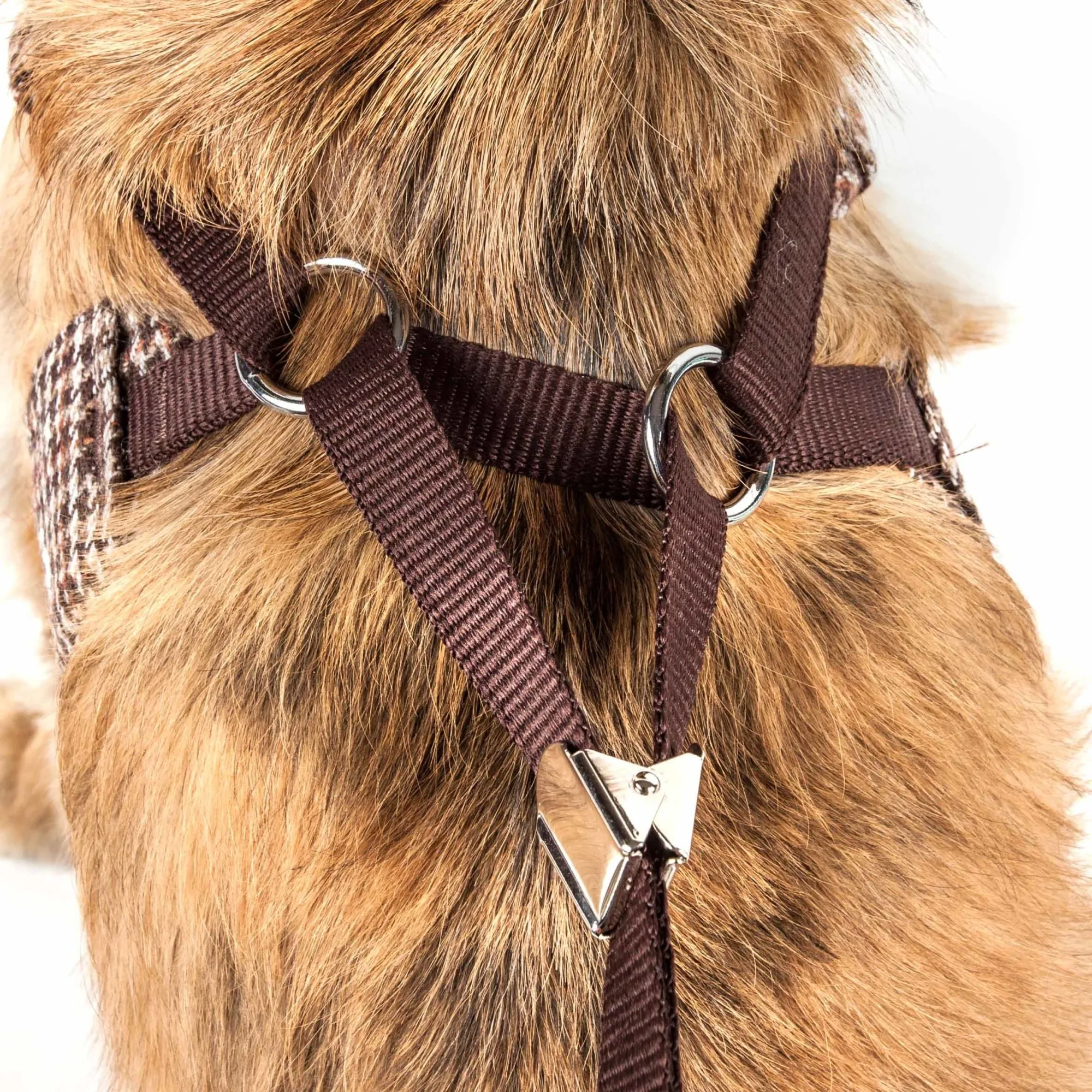 Adjustable Dog Harness Straps