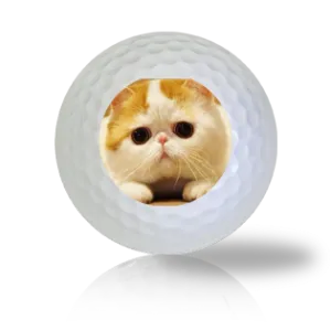 Cat Golf Balls