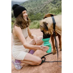 Flip Top Dog Water Bottle Travel Walk