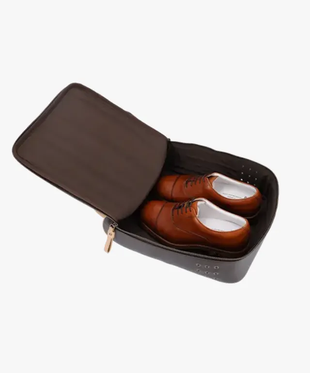 Lambda Sapri Brown & Beige Shoe Bag