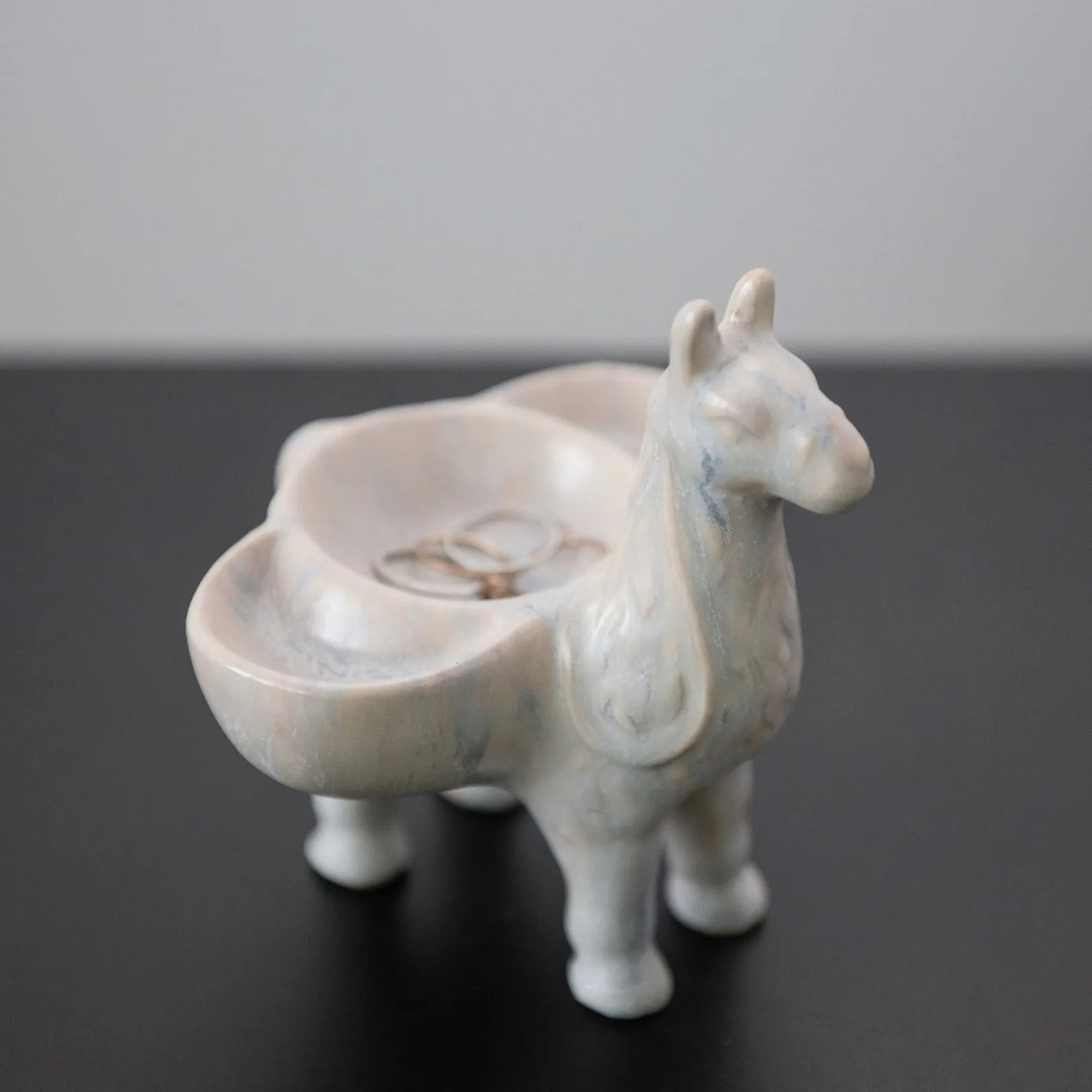 LLAMA DISH