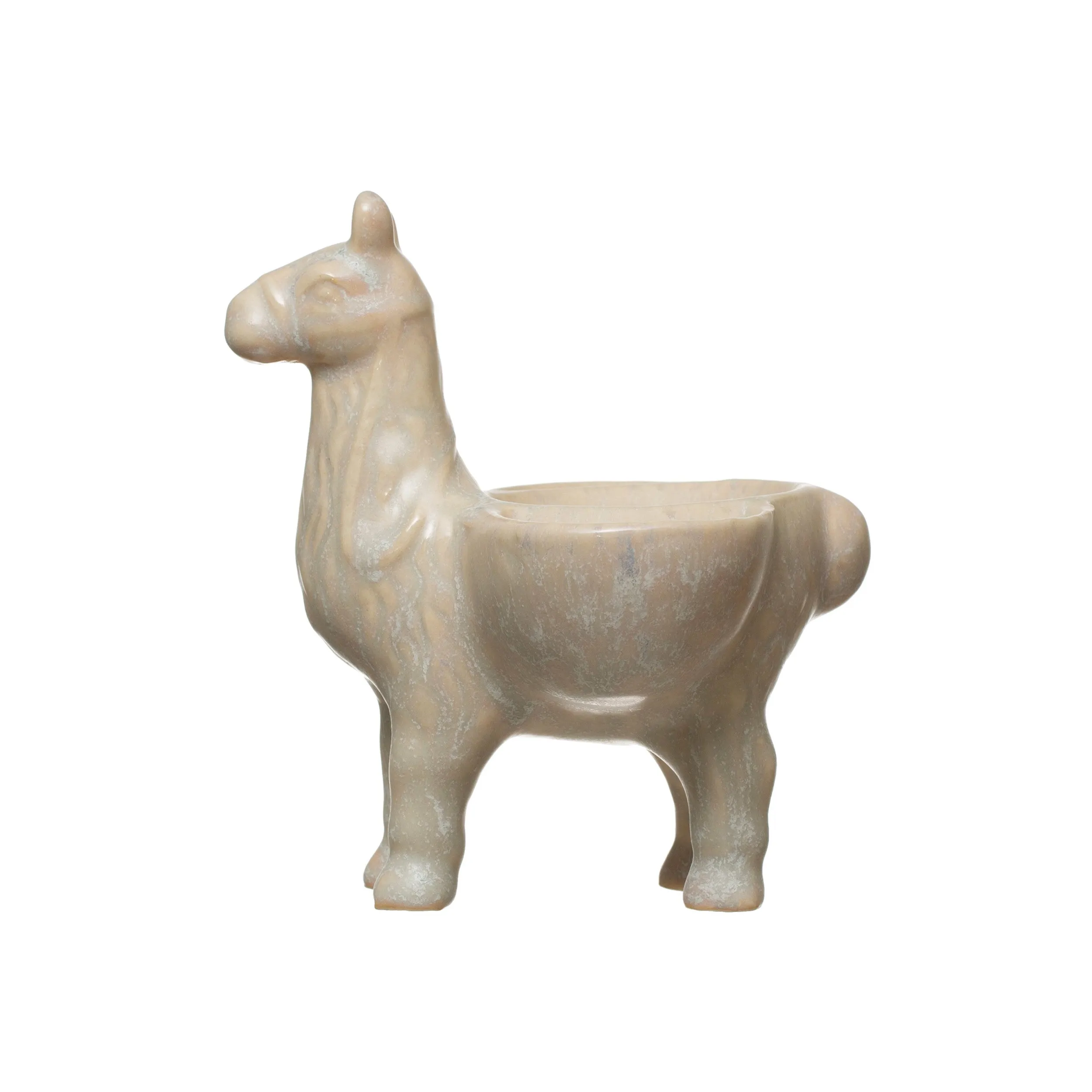 LLAMA DISH