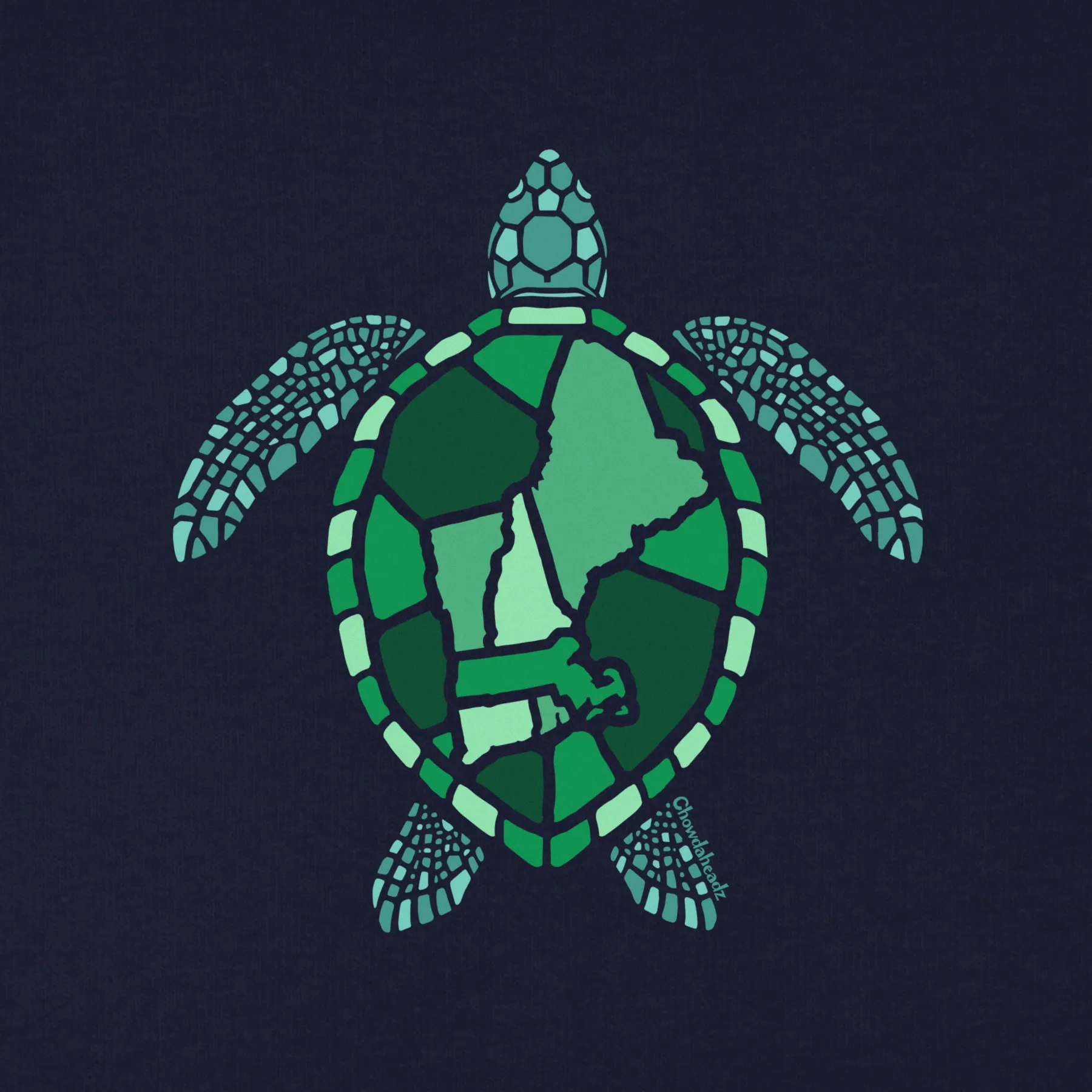 New England Sea Turtle Youth Hoodie