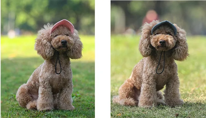 Pet outdoor picnic trip parent-child cap