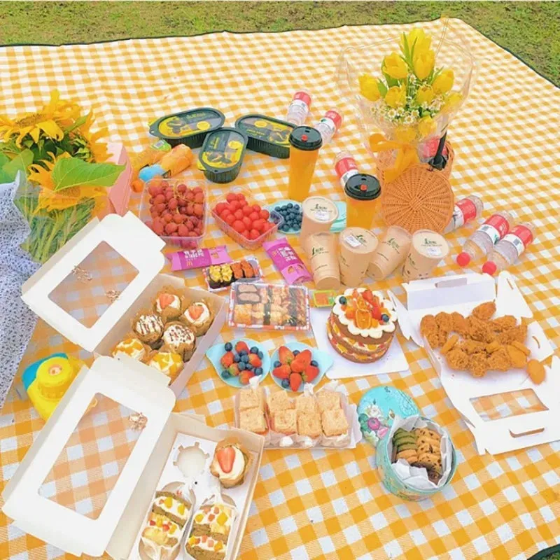 Portable Outdoor Picnic Mat!  🧺🧣🌳🍓