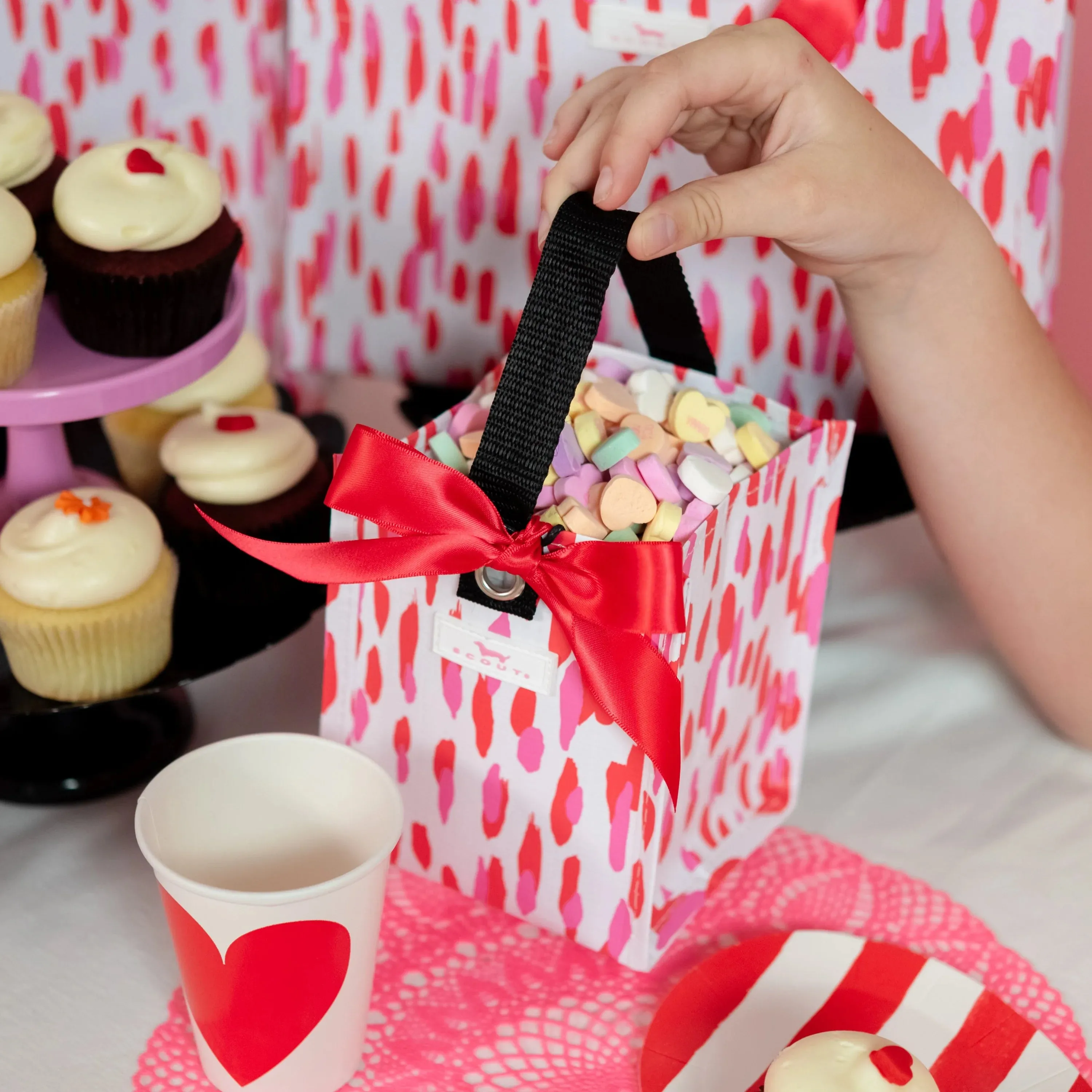 Scout Mini Package Gift Bag - Cane Fonda