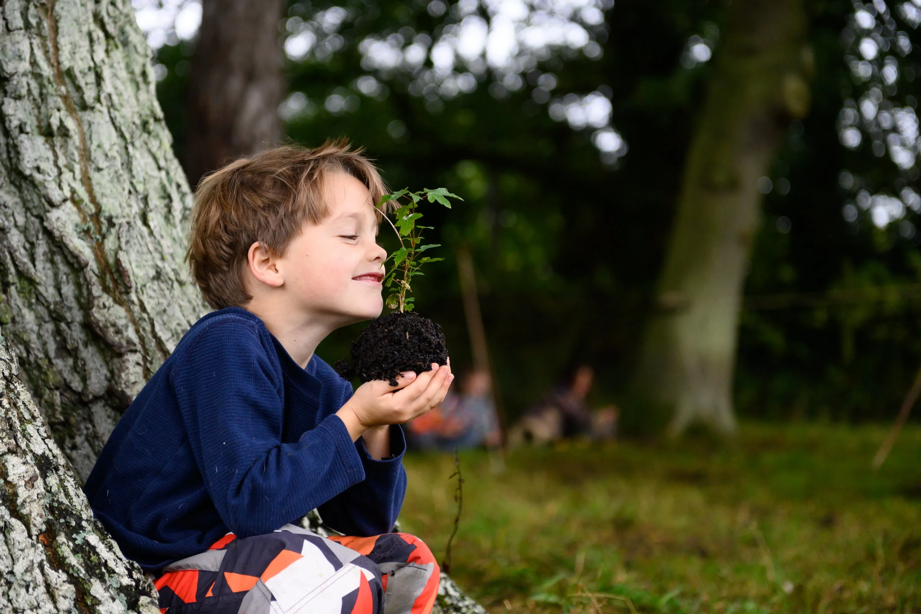 The Den Kit Company Plant A Tree Kit