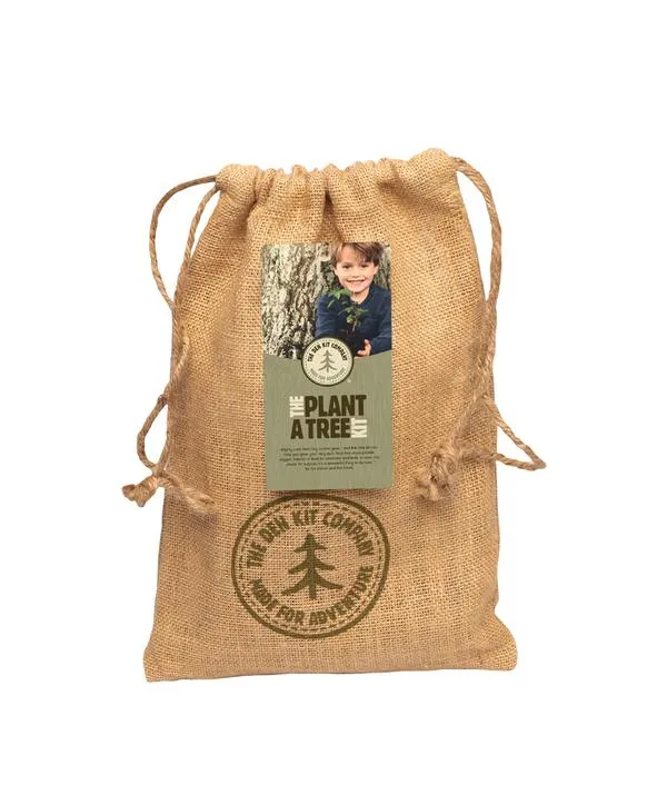 The Den Kit Company Plant A Tree Kit
