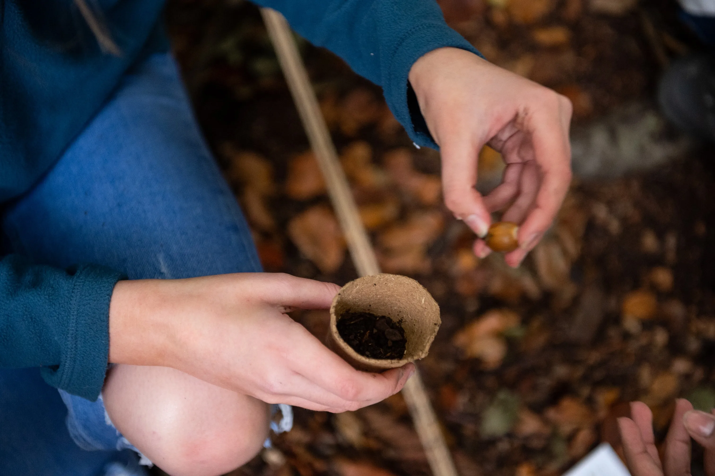 The Den Kit Company Plant A Tree Kit