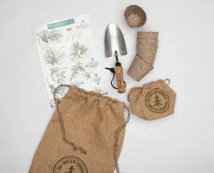 The Den Kit Company Plant A Tree Kit