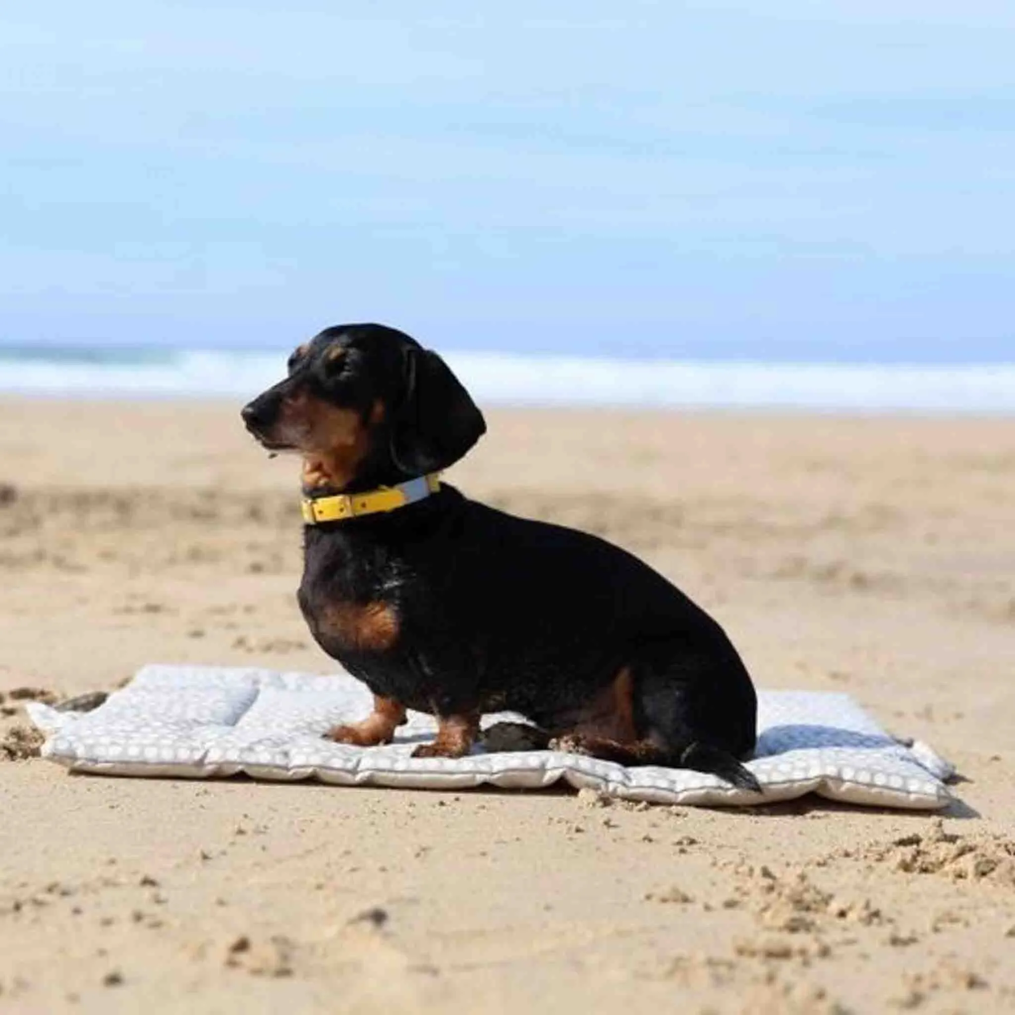 Ticking Stripe Picnic Pads