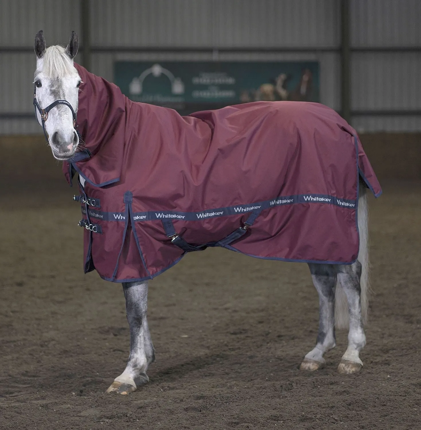 Whitaker Brockfield Fixed Neck Turnout Rug 100Gm
