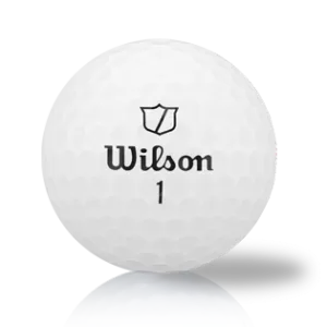 Wilson Staff Model